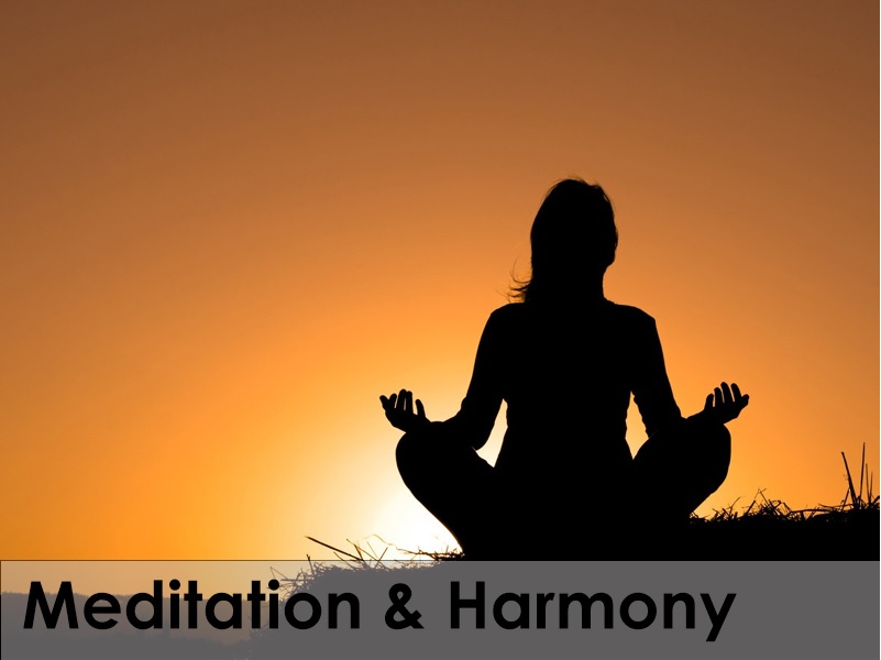 Meditation and Harmony